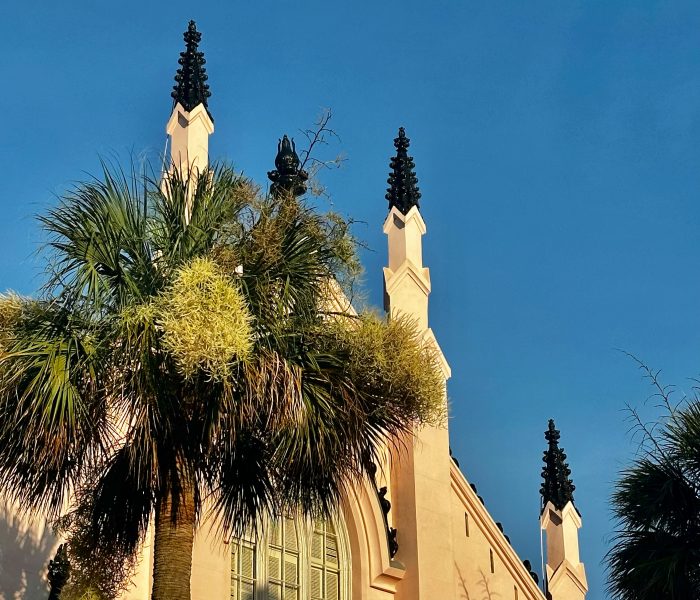 Charleston Foodie Tour